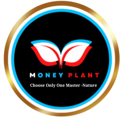 Money Plant Organics